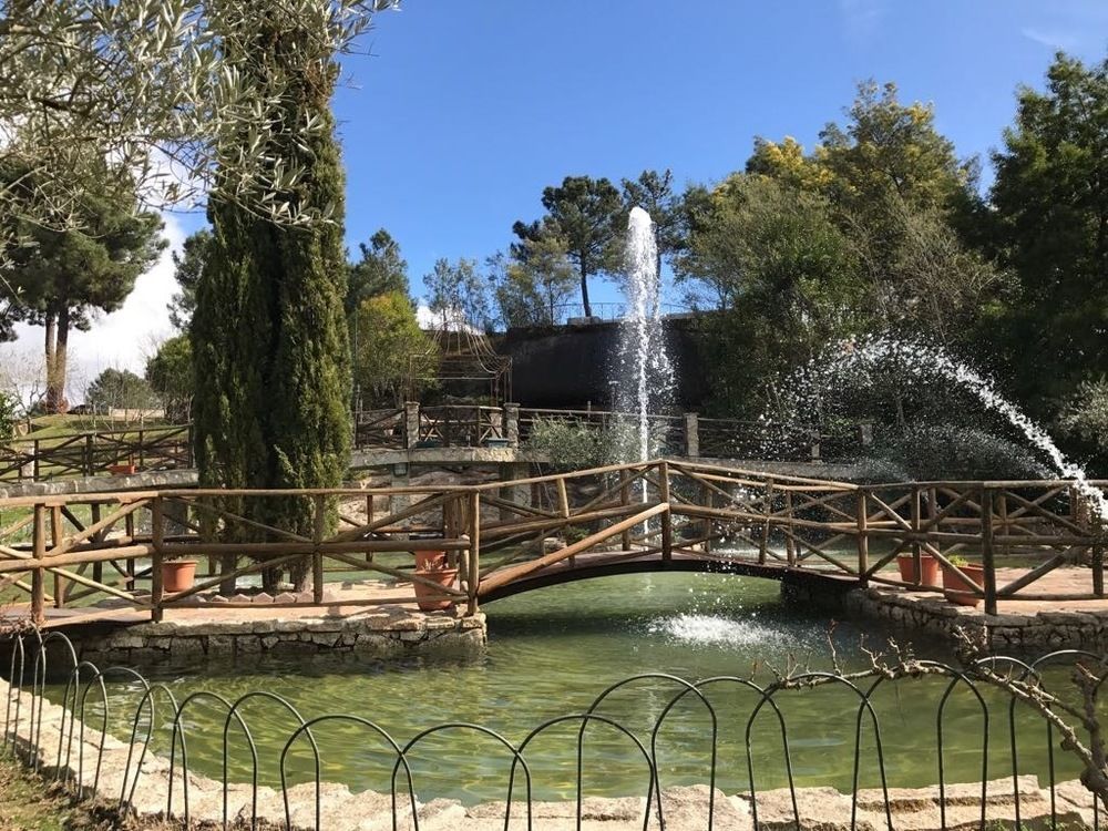 Olive Nature & - Quinta Valle De Passos Valpaços